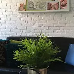 Zuzia